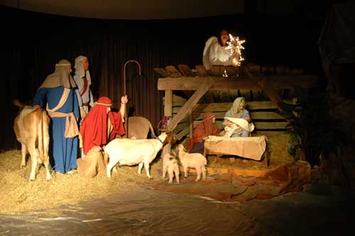 live-nativity